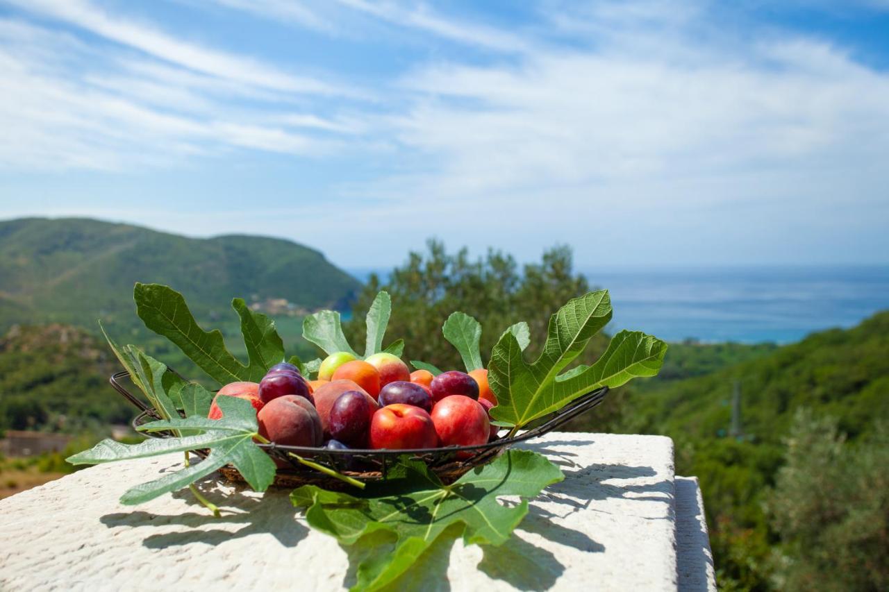 Eco Village Buljarica Budva Exteriér fotografie