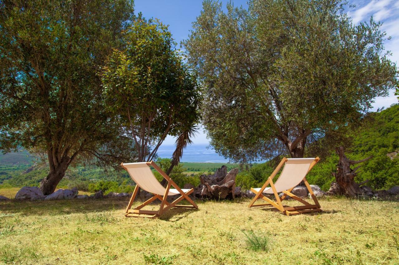 Eco Village Buljarica Budva Exteriér fotografie